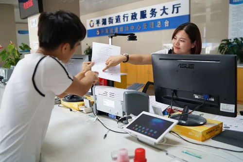 厲害了我的平湖——政務服務改革創新成效顯著，信息咨詢服務再升級